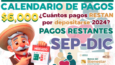 Número de Pensiones restantes por cobrar de este año 2024. ¿Cuántos apoyos monetarios se depositarán en lo que queda del año?
