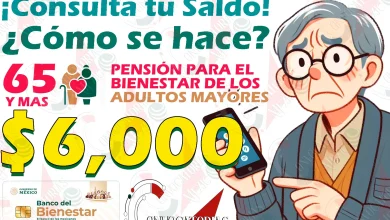 Consulta de saldo de las Tarjetas del Bienestar. ¡Estos son los 3 métodos para hacerlo!
