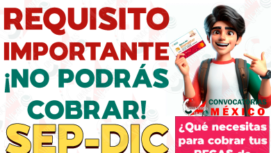 ¡Mucho Cuidado! Este es el REQUISITO IMPORTANTE que necesitarás para el cobro de tus Becas Benito Juárez. ¿Cómo y cuándo recibirás tus apoyos monetarios?