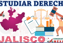 9 Universidades para estudiar Derecho en Jalisco