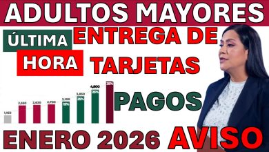 Guía de Seguridad 2025 para la Pensión Bienestar: Cambio de NIP y la Nueva CURP Biométrica