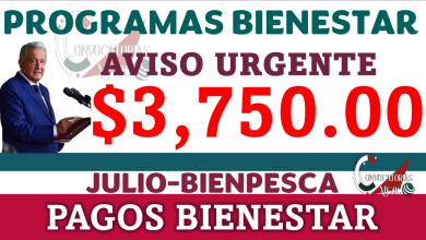 AMLO y gobierno Estatal: Próximo pago bienestar para BIENPESCA de 3,750 Pesos en Julio 2024 ¡Nuevo Aviso Bienestar! Se tiene listo el depósito