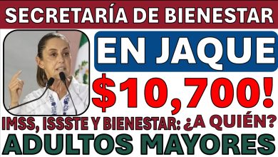 Pensiones Adultos Mayores 2026: lo que se proyecta para IMSS, ISSSTE y Pensión para el Bienestar