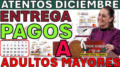 ¡Confirmado! Entrega de Tarjetas del Bienestar del 15 al 20 de Diciembre: Asegura tu Pago de Enero 2026