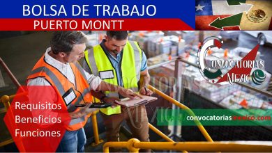 Bolsa de trabajo Puerto Montt