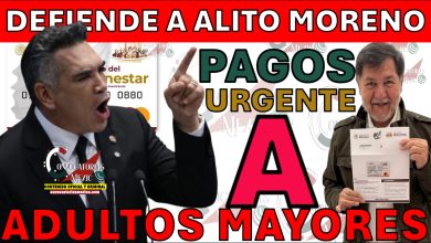 Pensión Bienestar 2026: La mentira del "Pago de Viernes" y el Calendario de Enero sin confirmarse