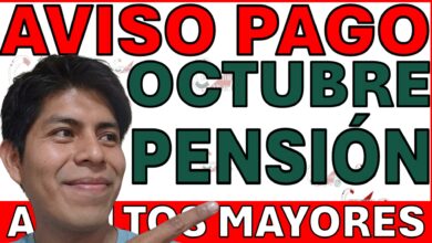Calendario proyectado: Cuándo verificar el saldo en tu cuenta