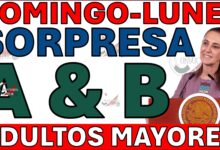 AVISO PENSION MEXICO BIENESTAR