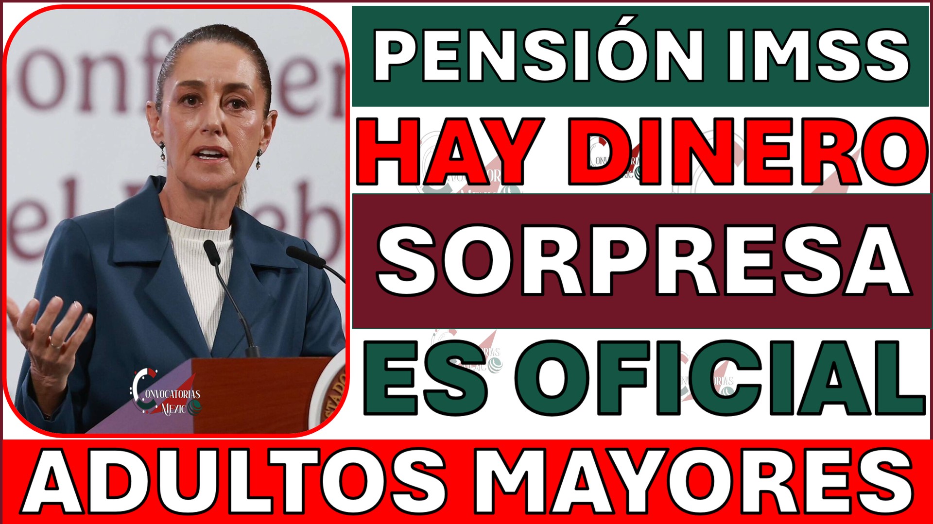 AY DINERO AVISO ADULTOS MAYORES