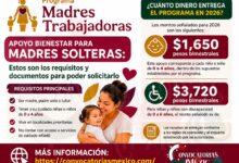 Apoyo Bienestar para Madres Solteras: Estos son los requisitos y documentos para poder solicitarlo