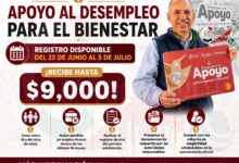 Apoyo al Desempleo para el Bienestar: Registro Disponible del 22 de junio al 5 de julio ¡Recibe hasta $9,000!