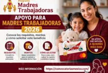 Apoyo para Madres Trabajadoras: Dos Modalidades ¡Estas son las cantidades individuales!
