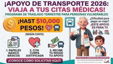 Apoyos económicos de transporte 2026 y municipios de la Frontera Norte: cómo solicitar ayuda para traslados y citas médicas