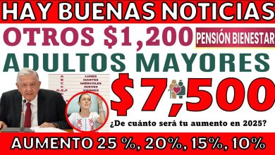 Ariadna Montiel Reyes: Aumento a la Pensión Bienestar 2025 Adultos Mayores, ¿será del 25%, es decir, 1,500 pesos más que en 2024?