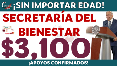 Ariadna Montiel Reyes, Pensión Bienestar 2024 da Apoyo de 3,100 Pesos SIN IMPORTAR LA EDAD ¡La Secretaría del Bienestar apoya los que cumplan los siguientes requisitos!