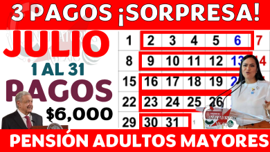 Ariadna Montiel Reyes y Andrés Manuel López Obrador confirman ADELANTO de pagos de la Pensión del Bienestar ¡COBRAN 27 LETRAS y 32 ESTADOS del 1 a 31 de julio! Depositan en tu tarjeta bienestar