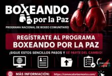 Así puedes realizar tu registro al Programa Boxeando por la Paz ¡Sigue estos sencillos pagos para poder lograrlo!