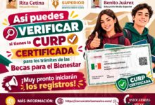 Asi puedes verificar si tienes la CURP Certificada para los tramites de las Becas para el Bienestar ¡Muy pronto iniciaran los registros!