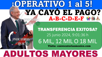 Atentos Adultos Mayores Bienestar ¿Quiénes reciben pago del 1 al 5 de julio? Operativo de depósitos para primeras cinco letras en la semana 1