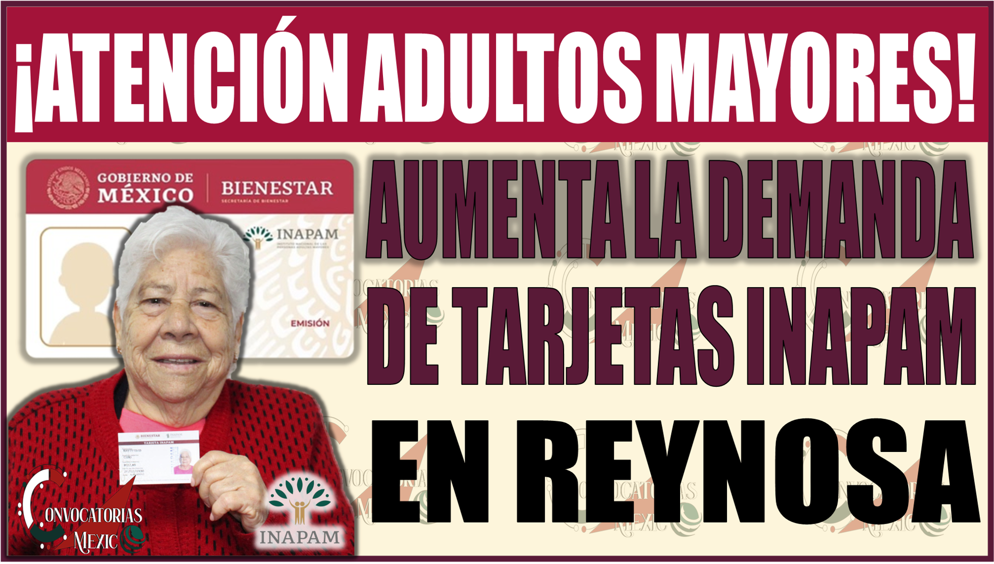 Aumenta la demanda de Tarjetas INAPAM: Más solicitantes en Reynosa buscan beneficios