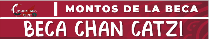 BANNER BECA