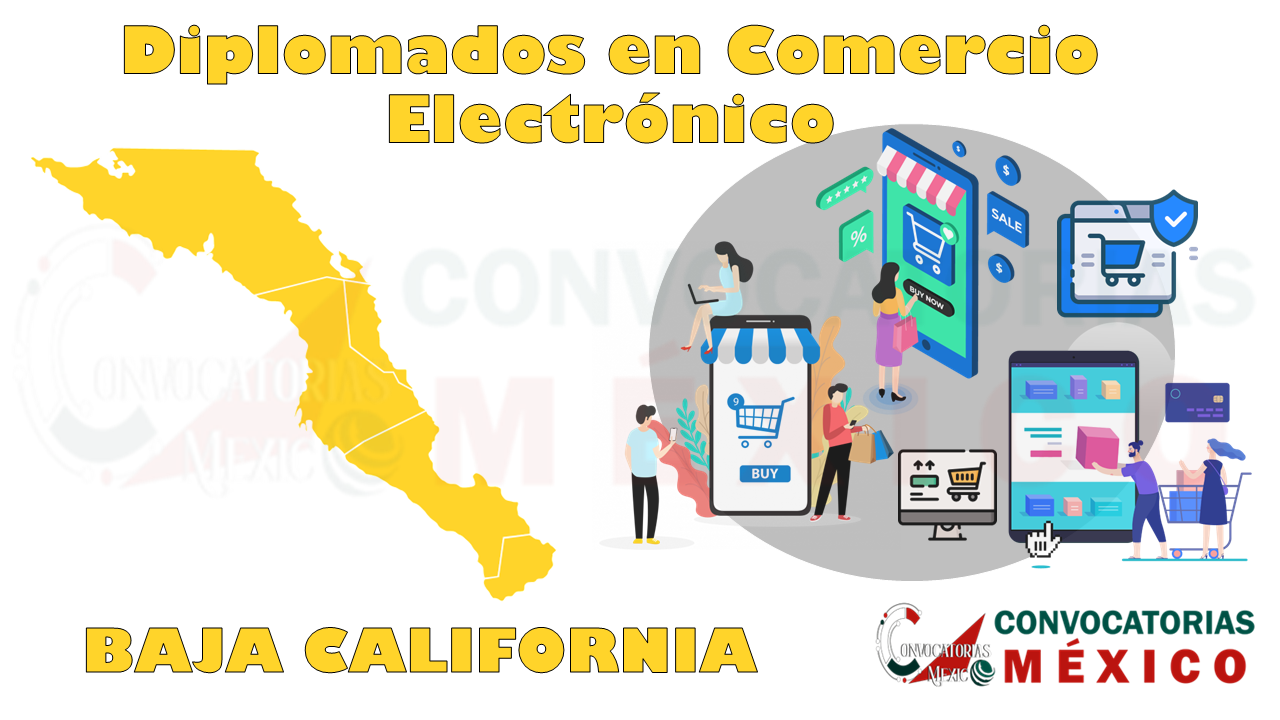 12 Diplomados en Comercio Electrónico en Baja California