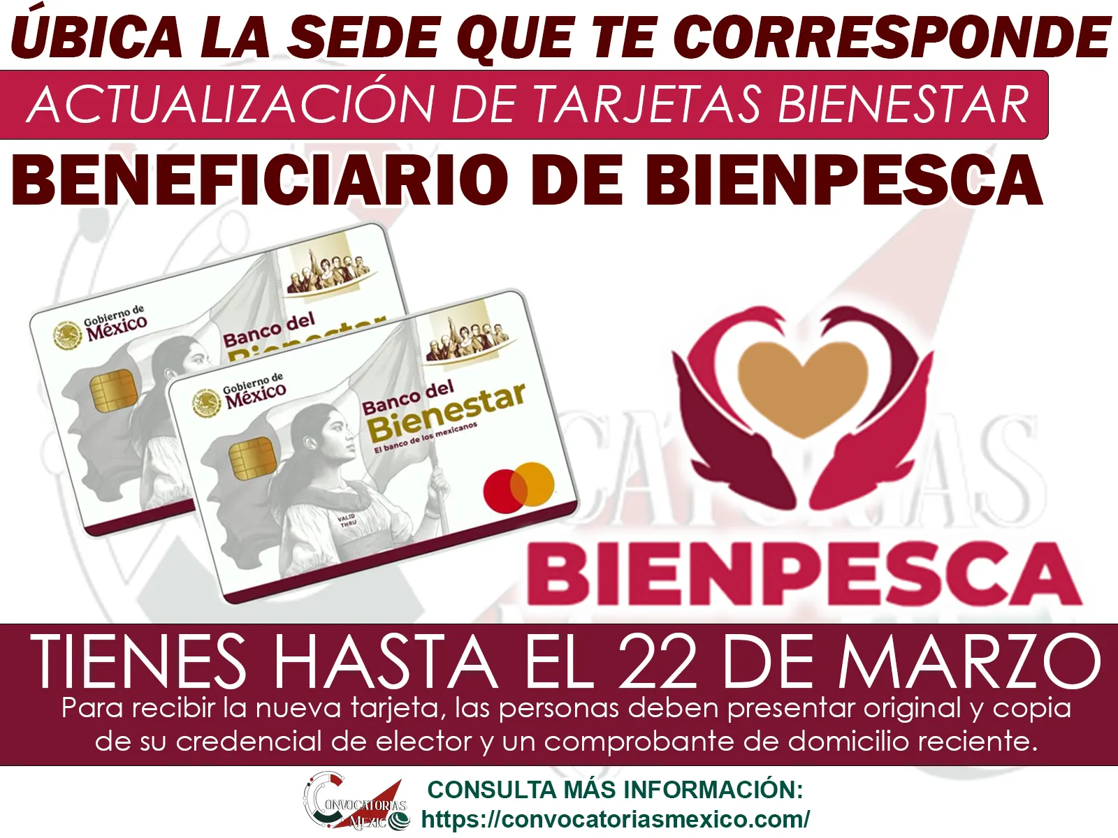 BIENPESCA: ¡Renovación de las Tarjetas Bienestar! Consulta la fecha de tu entrega asi como la sede a la que tienes que acudir