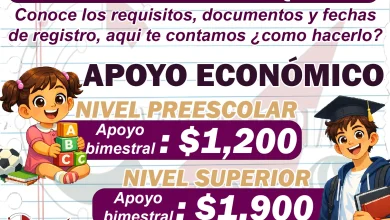 Beca Concepción Quirós ¡Becas para Preescolar y Universidad! Consulta como acceder a ella