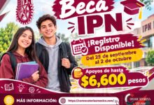 Beca Institucional IPN : ¡Registro Disponible del 25 de septiembre al 2 de octubre! Entregaran apoyos de hasta 6 mil 600 pesos 12 Beca Institucional IPN : ¡Registro Disponible del 25 de septiembre al 2 de octubre! Entregaran apoyos de hasta 6 mil 600 pesos