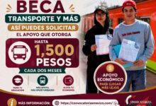 Beca Transporte y Más: Asi puedes solicitar el apoyo que otorga hasta 1 mil 500 pesos cada dos meses
