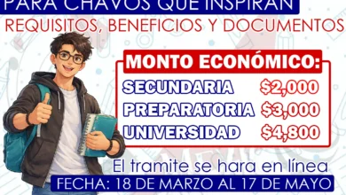 Becas BBVA ¡Asi puedes solicitarla!: Requisito, Documentos y Proceso de Registro
