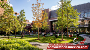 Becas CPL Fellowship 12 Becas CPL Fellowship
