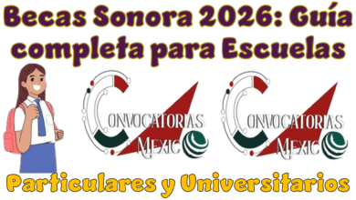 Becas Sonora 2026: Guía Completa para Escuelas Particulares y Universitarios