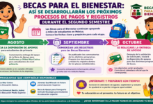 Becas para el Bienestar: así se desarrollarán los próximos procesos de pagos y registros durante el segundo semestre 13 Becas para el Bienestar: así se desarrollarán los próximos procesos de pagos y registros durante el segundo semestre
