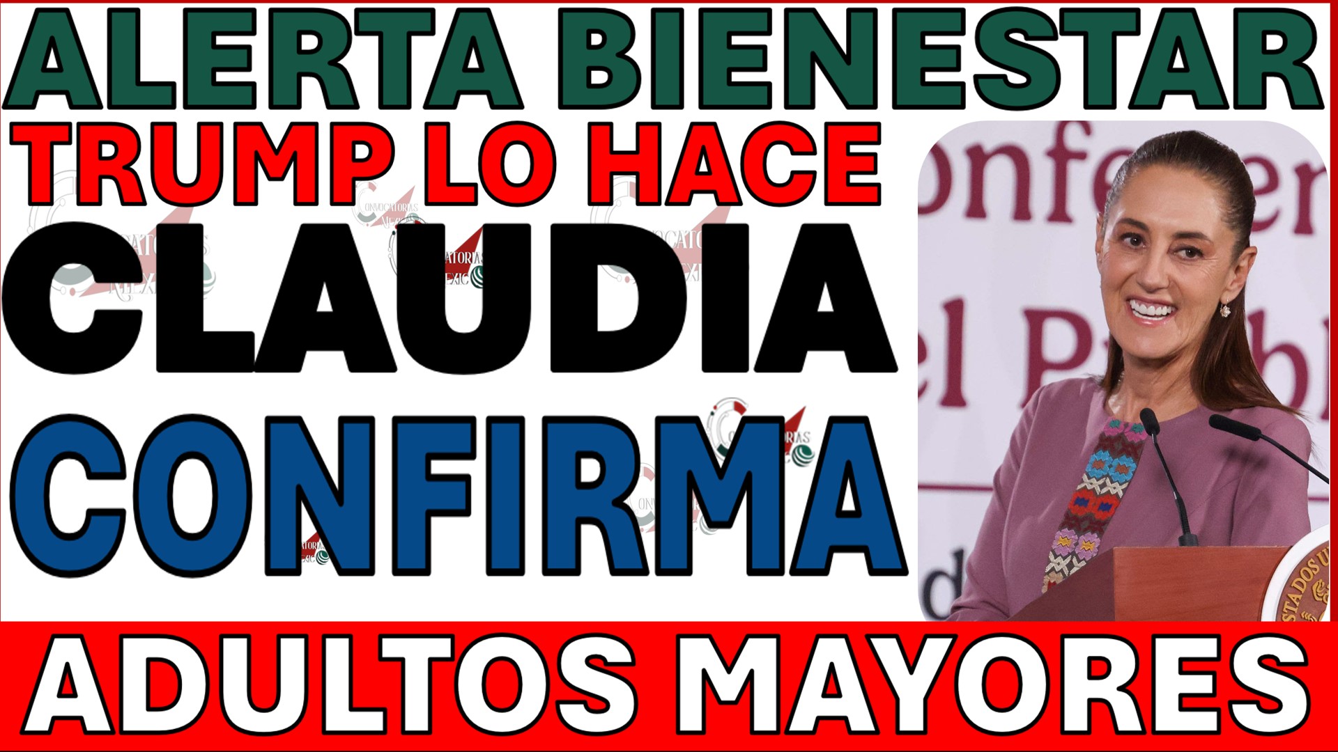 CONFIRMADO EMXICO BIENESTAR PENSION