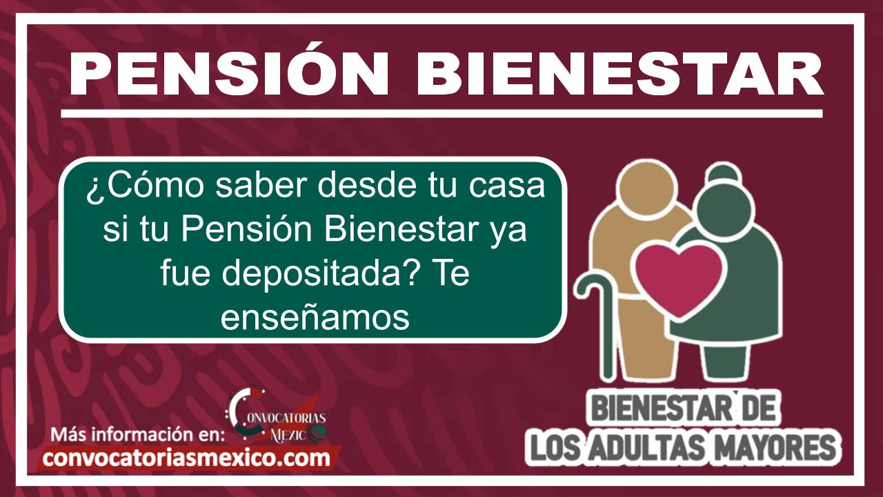 ¿Cómo saber desde tu casa si tu Pensión Bienestar ya fue depositada? Te enseñamos