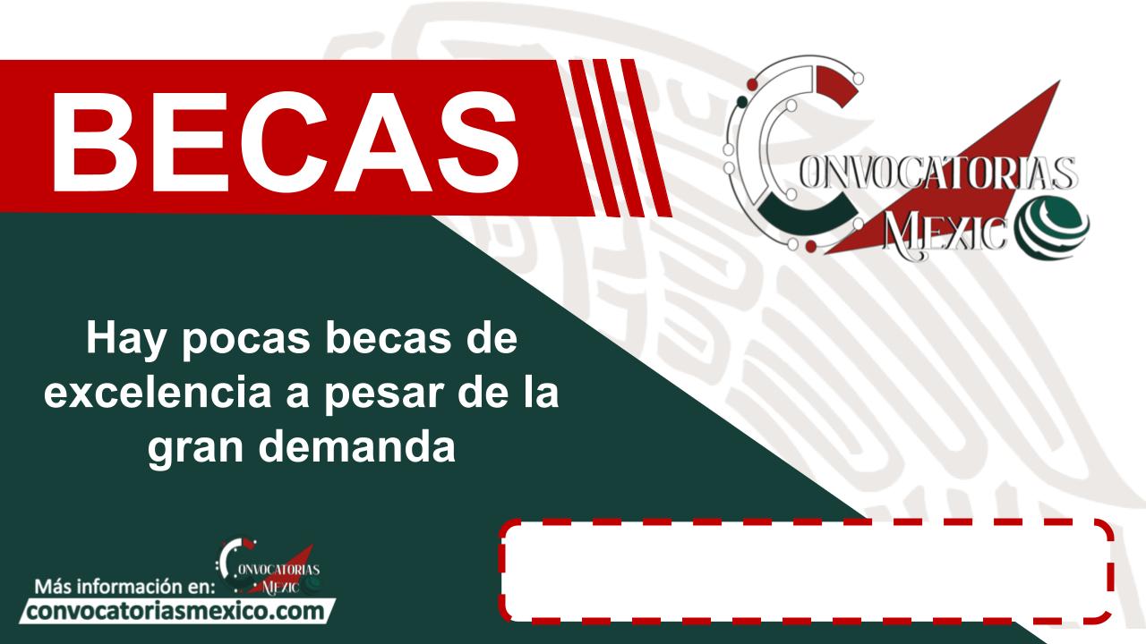 Hay pocas becas de excelencia a pesar de la gran demanda 11 Beca