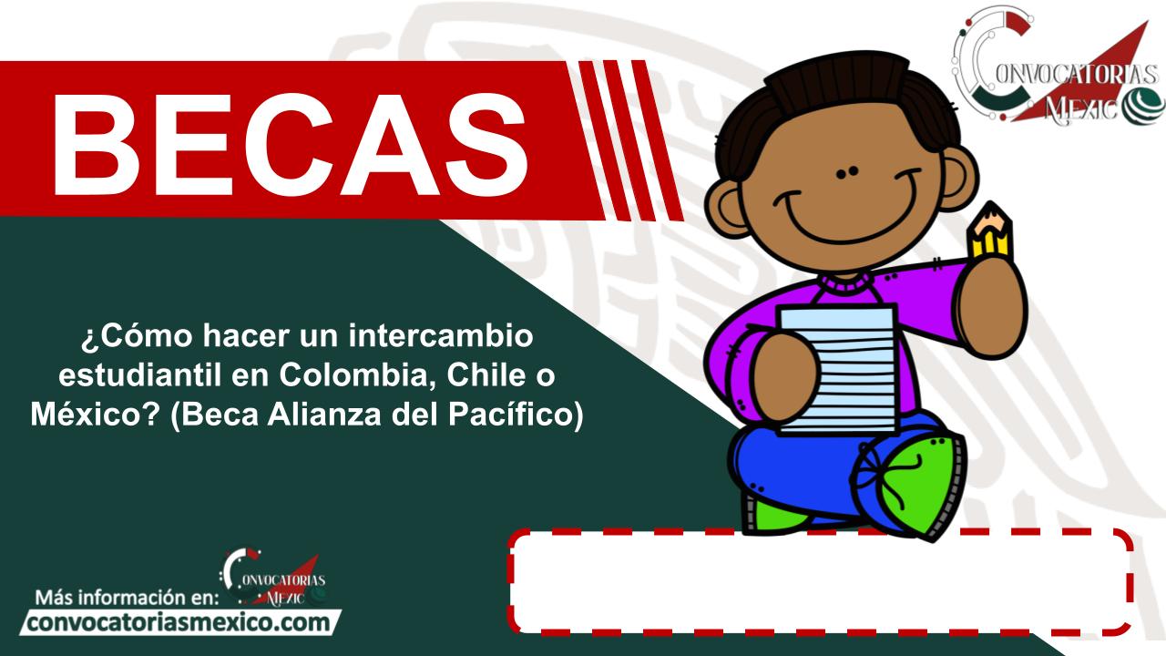 ¿Cómo hacer un intercambio estudiantil en Colombia, Chile o México? (Beca Alianza del Pacífico) 11 Beca