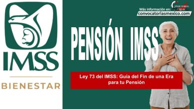 Ley 73 del IMSS: Guía del Fin de una Era para tu Pensión
