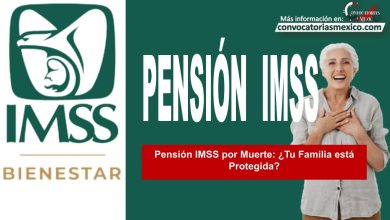 Pensión IMSS por Muerte: ¿Tu Familia está Protegida?