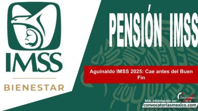 Aguinaldo IMSS 2025: Cae antes del Buen Fin