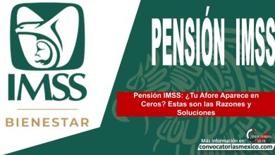 Pensión IMSS: ¿Tu Afore Aparece en Ceros? Estas son las Razones y Soluciones