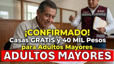 ¡PAGO DE 40 MIL PESOS! La verdad sobre el apoyo que Claudia Sheinbaum entrega