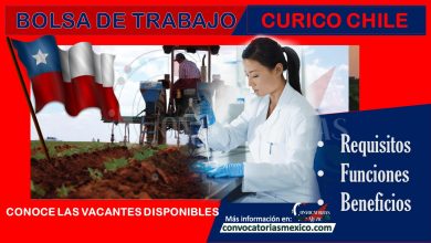 Bolsa de trabajo Curicó