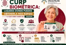 CURP Biométrica: Lugares Donde Puedes Obtenerla Más Rápido y Lo Que Debes Saber del INAPAM