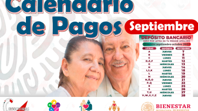 ¿Cuándo te toca tu siguiente pago de las Pensiones Bienestar?