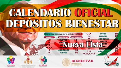 Calendario de Pagos de Pensiones Bienestar Oficial, “Continua el Apoyo para Discapacitados, Madres Trabajadoras y Adultos Mayores” dice Ariadna Montiel Reyes. 