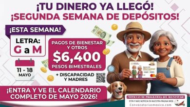 Letras de G a M Segunda semana de pagos de la Pensión Bienestar para personas adultas mayores y otros programas sociales
