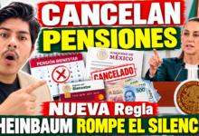 La Modalidad 40 garantiza una pensión de 80 mil o 90 mil pesos