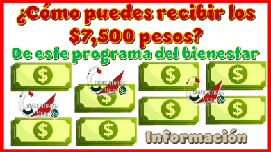 ¿Cómo puedes recibir los $7,500 pesos de este programa del bienestar? | Información 